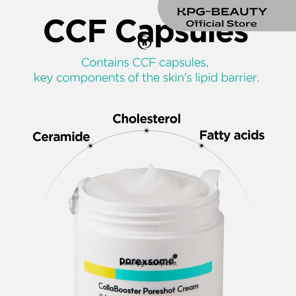 Dr.nineteen CollaBooster Poreshot CreamㅣPoly Lactic Acid(PLA) + 12 Hyaluronic Acid(HA) + CeramidesㅣFace Moisturizer for Pore Tightening & FirmingㅣKorean Skin Care 50 ML KPG BEAUTY Dr.nineteen