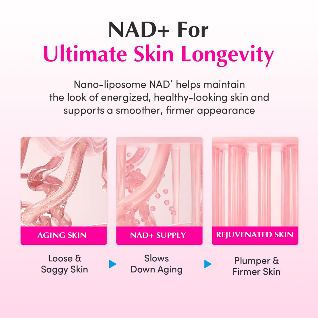 EQQUALBERRY NAD+ Peptide Boosting Cream 50ml KPG BEAUTY EQQUALBERRY
