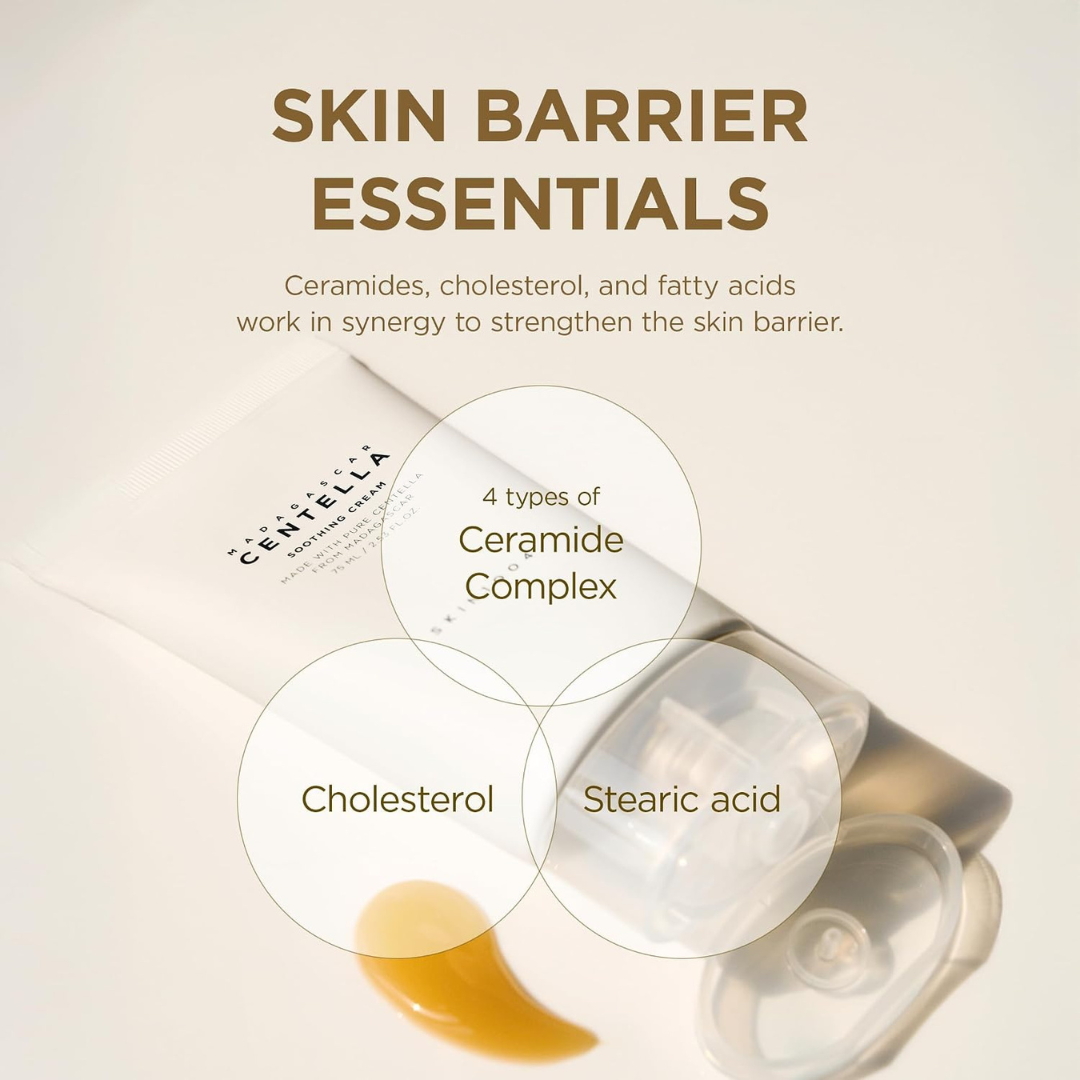 SKIN1004 Madagascar Centella Soothing Cream 75ml KPG BEAUTY SKIN1004