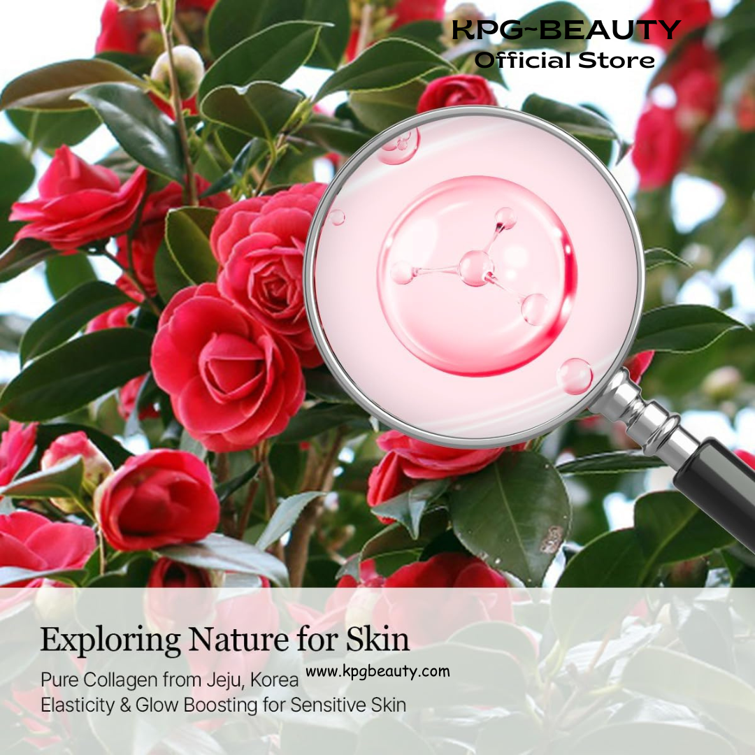 ROUND LAB Camellia Collagen PDRN Milky Toner 5.07 Fl Oz, Hydrating Elasticity-Boosting Glass Skin Toner with Low Molecular Collagen and Camellia Flower Extract, Milky Glow Texture, Korean Skincare Round Lab