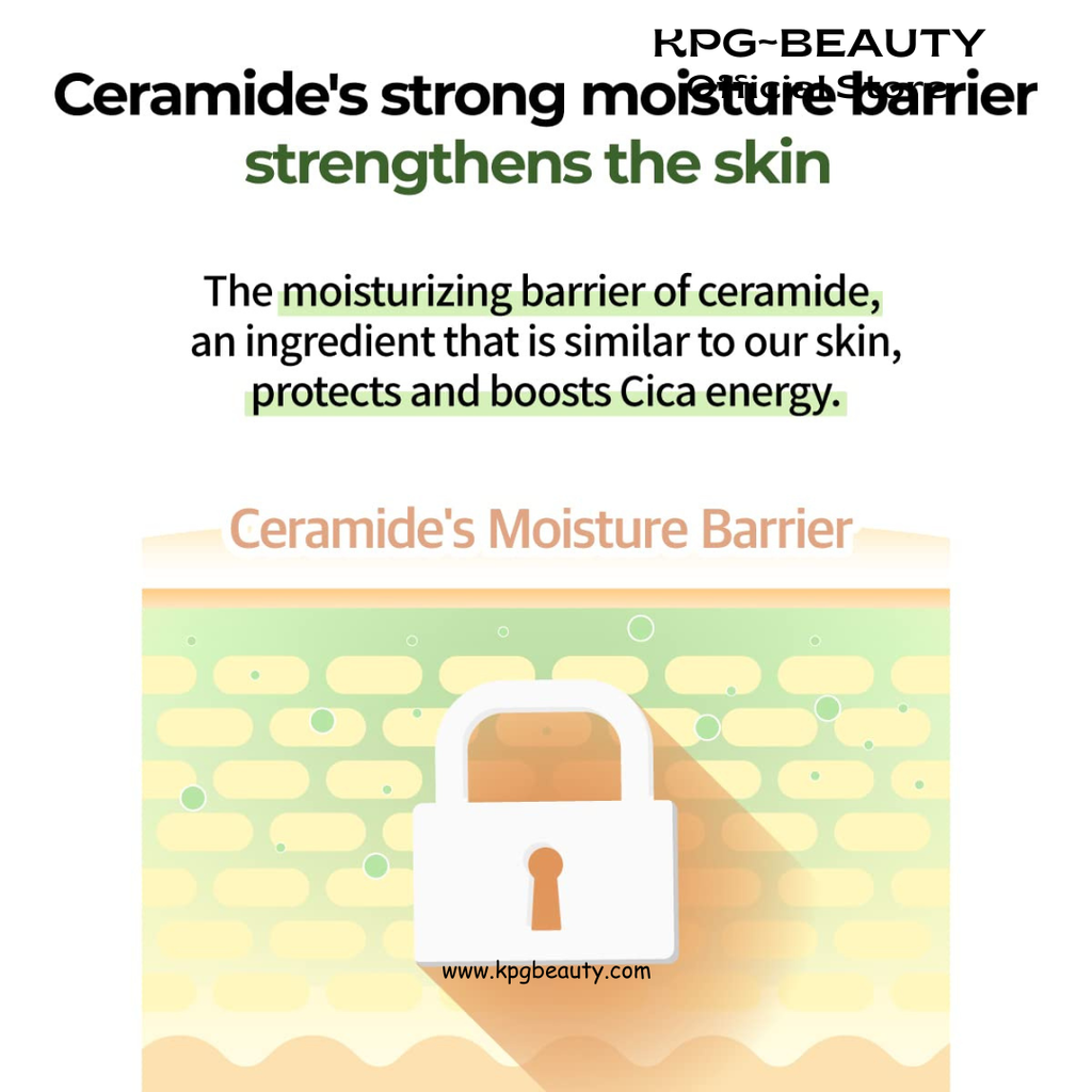 numbuzin No.2 Cream | Cica Ceramide Repair Cream | Ceramide, Centella Asiatica | Hydrating, Calming, Strengthen Skin Barrier, Deep Repair, Recovery | All Skin Types | 2.02 fl. oz. Numbuzin