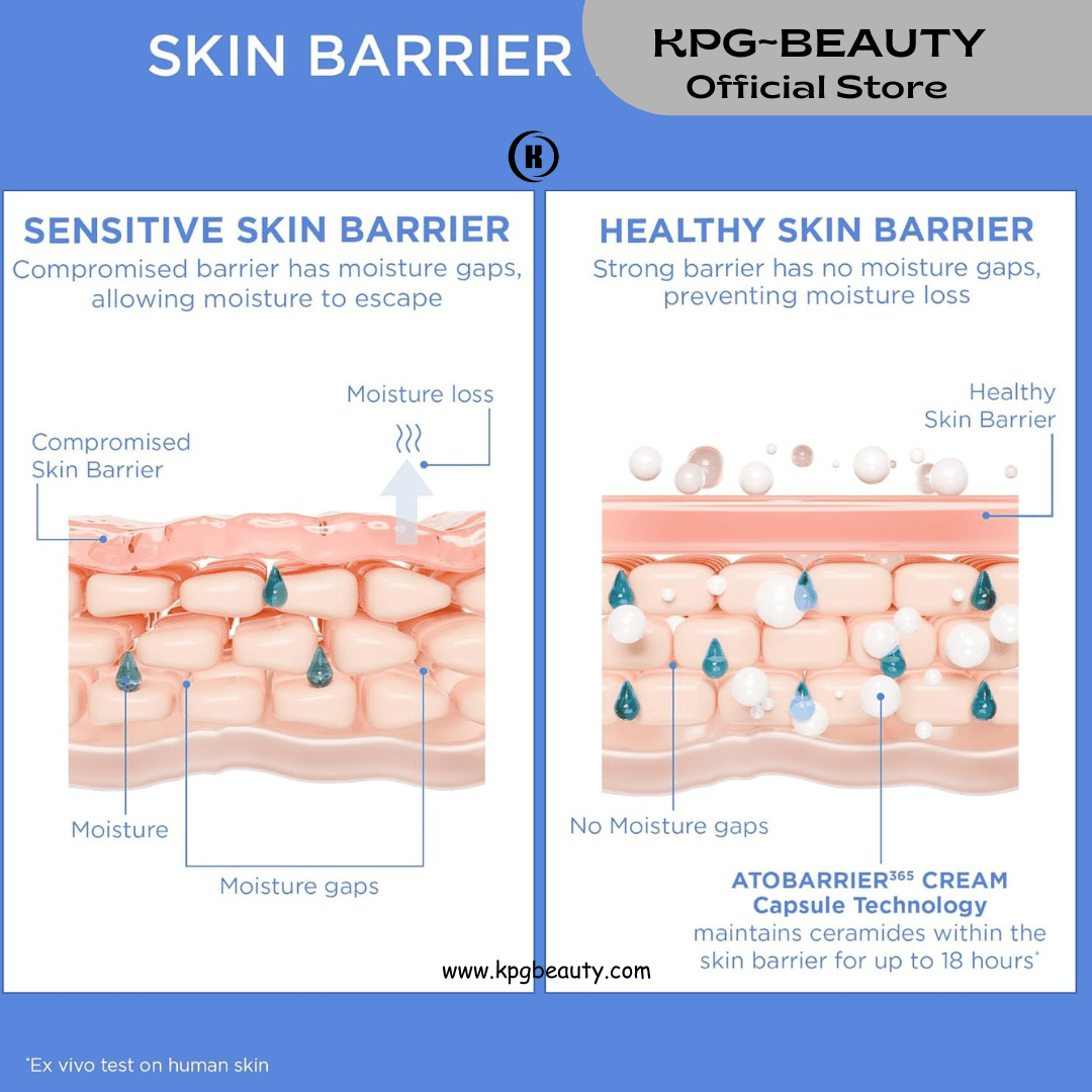 AESTURA ATOBARRIER365 Cream Ceramide Barrier Repair Moisturizer KPG BEAUTY AESTURA