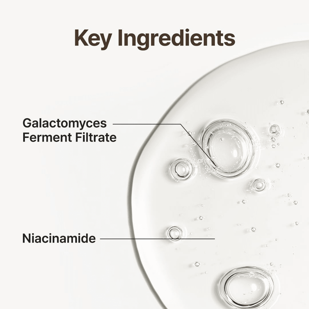 PURITO Galacto Niacin 97 Power Essence Fermented Pore Control Essence KPG BEAUTYPurito Seoul